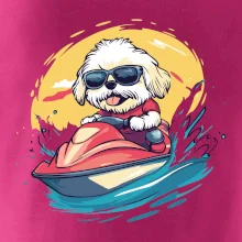 Lhasa Apso na vodnom skútri