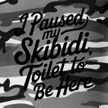 I Paused My Skibidi Toilet to be Here