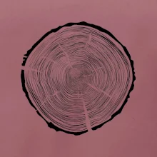 Letokruhy 95 bez veku