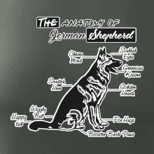 Nemecký ovčiak - Anatómia
