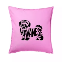 Havanese nápis v tele