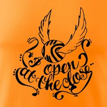 Harry - Zlatá strela Harry - Zlatá strela