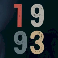 Vintage číslica 1993