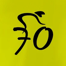 Cyklista oslavuje sedemdesiatku (70)