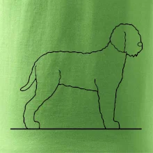 Lagotto romagnolo stojaci