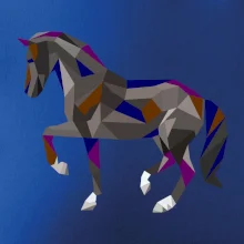Kôň geometria farebný