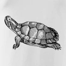 Ceruzkou kreslená korytnačka