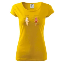 Skelet and Moscular system