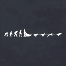 Evolúcia psie záprahy