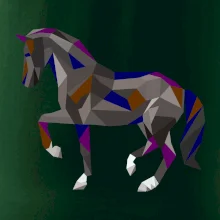 Kôň geometria farebný