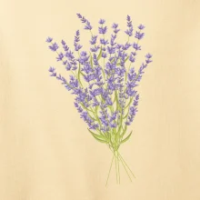 Levanduľa kreslená