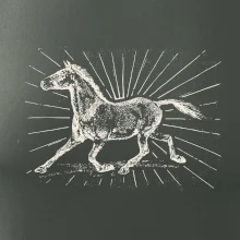 Kôň a lúče Kôň a lúče