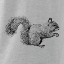 Veverička kresba