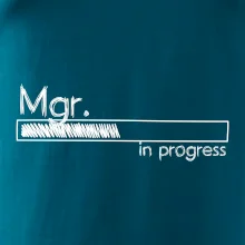 In progress titul Mgr. magister / magistra