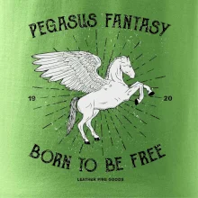 Pegasus fantasy