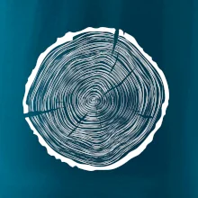 Letokruhy 55 bez veku