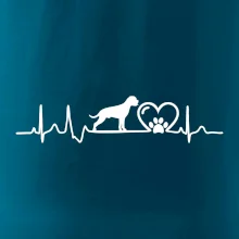 Nemecký boxer EKG Nemecký boxer EKG