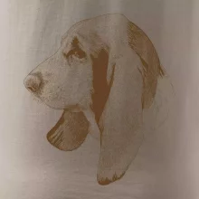 Basset - kreslená hlava