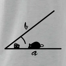 Matematická myš Matematická myš