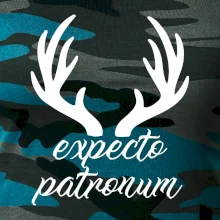 Harry - Expecto patronum Harry - Expecto patronum
