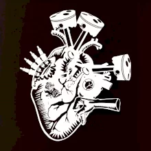 Vodičovo srdce Vodičovo srdce