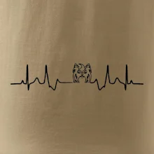 Shih-tzu ekg hlava Shih-tzu ekg hlava