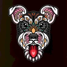 Knírač hlava barevná