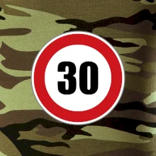 Dopravná značka - obmedzenie rýchlosti 30 Dopravná značka - obmedzenie rýchlosti 30