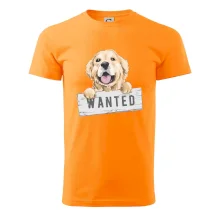 Zlatý retriever - šteniatko wanted
