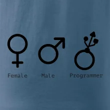 Female male programmer