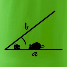 Matematická myš Matematická myš