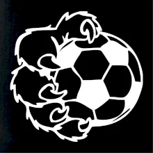 Medvedia laba futbal