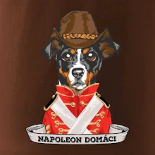 Napoleon domáci kríženec