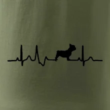 EKG Francouzský buldoček z boku
