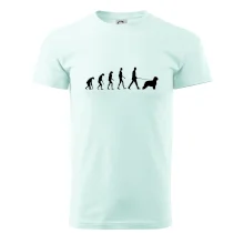 Evolúcia pes Briard