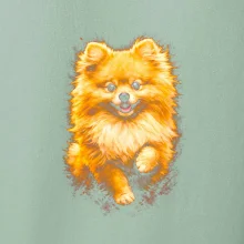 Obrázok poltón Pomoranský špic