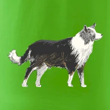 Border kólia kreslená