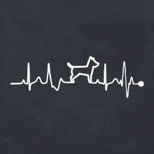 Ekg psí obrys Ekg psí obrys