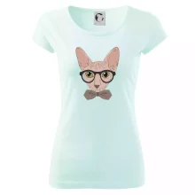 Hipster sphynx