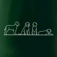 Lagotto romagnolo postavy linka