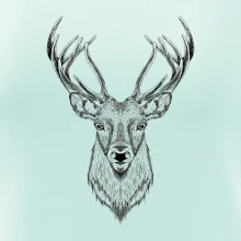Jeleň kresba