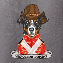 Napoleon domáci kríženec