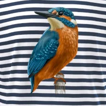 Ľadnáčik kreslený