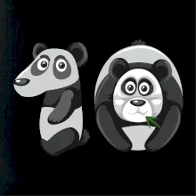 Vek dieťaťa zviera 10