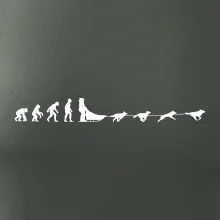 Evolúcia psie záprahy