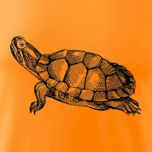 Ceruzkou kreslená korytnačka