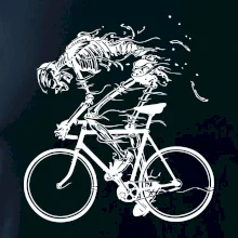 Cyklo kostra Cyklo kostra