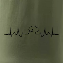 Labradorský retriever EKG Labradorský retriever EKG