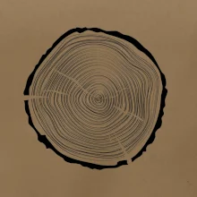 Letokruhy 45 bez veku