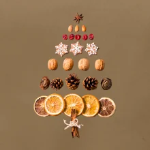 Vianočný stromček zo sušených plodov